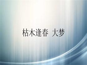 枯木逢春 《大梦》吉他谱C调吉他弹唱谱